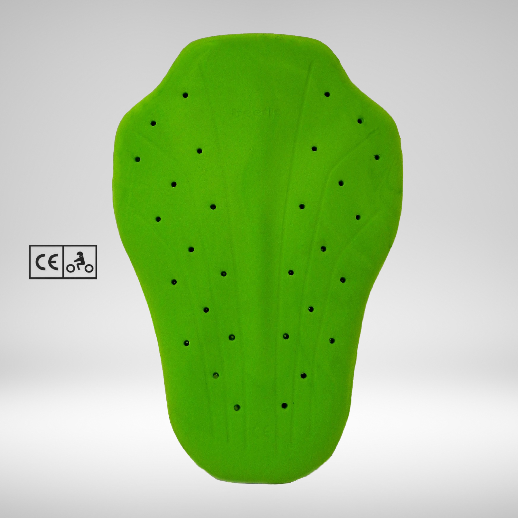 Dorsale Beetle Couleur