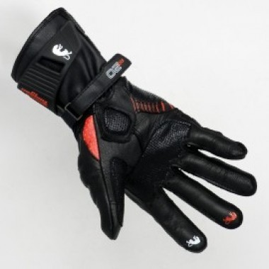 RG 20 - photo 1