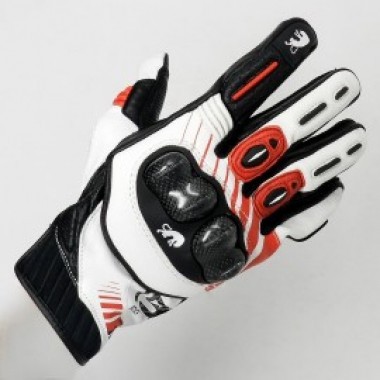 RG 19 - photo 0