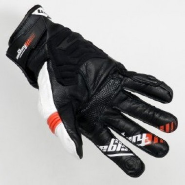 RG 19 - photo 1