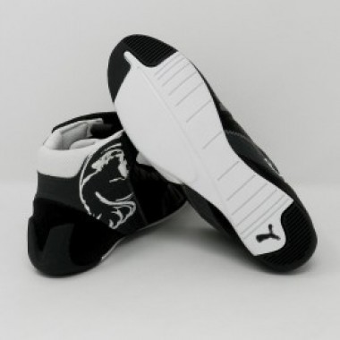 EvoSPEED Kart - photo 10