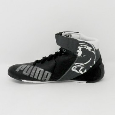EvoSPEED Kart - photo 6