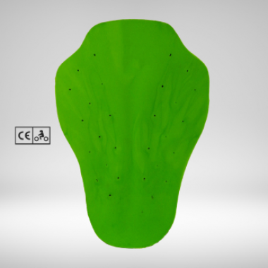 Dorsale Beetle - photo 1