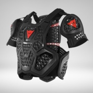 MX 1 Roost Guard - photo 0